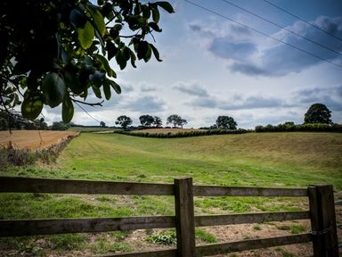 A grassy field with a wooden fence and trees in the background at Top Barn in Chipping Norton
