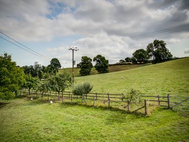 A green pasture with trees a wooden fence and utility poles under a partly cloudy sky at Little Barn Ascott near Chipping Norton
