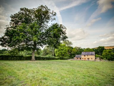 A large tree on a grassy field with a stone house and more trees in the background at Little Barn in Ascott near Chipping Norton