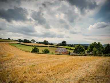 A field with a small building and trees under a cloudy sky at Little Barn in Ascott near Chipping Norton