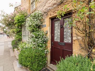 A brown front door with lace curtains surrounded by green plants and flowers on a stone building at Benfield in Stow-on-the-Wold