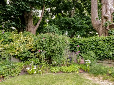 A garden with various plants flowers and large trees at Anvil Cottage in Chipping Norton