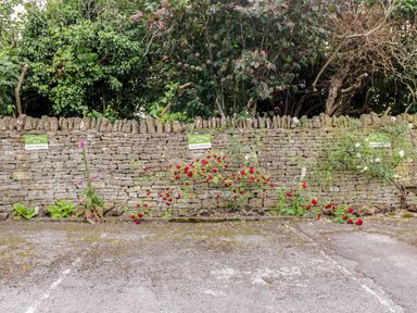 A stone wall with green guest parking signs red and white flowers and trees behind it at Anvil Cottage in Chipping Norton