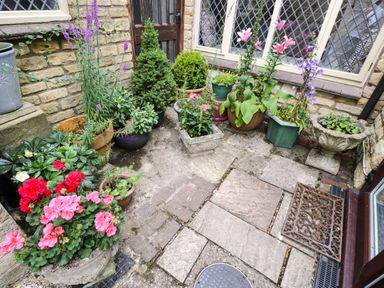 A small paved garden area with various potted plants and flowers outside a stone house with windows and a wooden door at Anvil Cottage in Chipping Norton