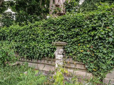 A garden with a small statue holding a birdbath surrounded by plants and a green ivy-covered fence