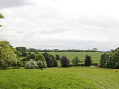 A grassy field with scattered trees and distant rolling hills at Hazel Manor Wing in Painswick
