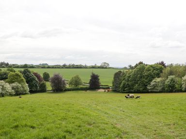 A grassy field with sheep and trees at Hazel Manor Wing in Painswick