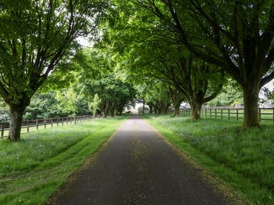 A paved path lined with trees and grass on both sides with wooden fences at Hazel Manor Wing in Painswick