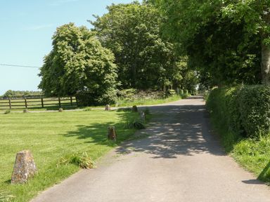 A paved driveway with stone bollards and grass on the left and hedge on the right at Saddlebacks Barn in Burford