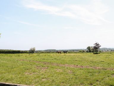 A grassy field with two horses and a tree surrounded by farmland at Ewecub Barn in Burford