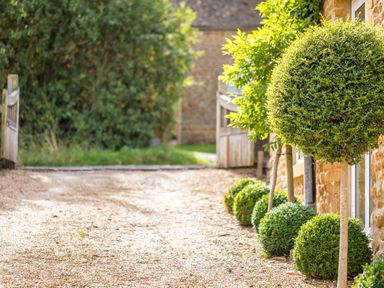 A garden pathway with round bushes and trees along a stone building at Orchard House in Stow-On-The-Wold