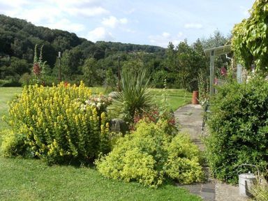 A garden with various green and yellow plants next to a stone path leading to a house surrounded by trees at The Piggery in Lydney