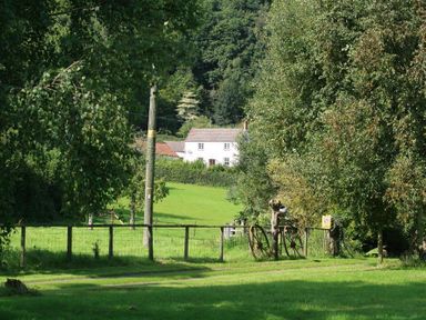 A grassy field with trees a wooden fence and a white house in the background at The Piggery in Lydney
