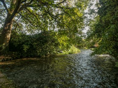A flowing river surrounded by trees and greenery at Mayfly Cottage in Coln St Aldwyns near Bibury