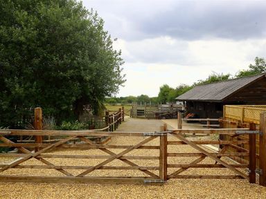 A wooden gate in front of a gravel driveway leading to a wooden building and fenced area at Old Groom's Cottage in Minster Lovell