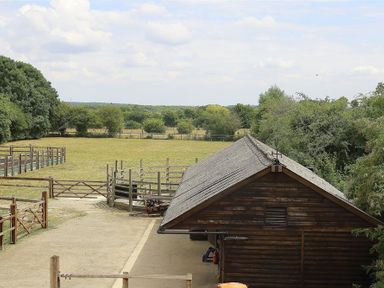 A fenced farmyard with a wooden shed and open fields with trees in the background at Old Groom's Cottage Minster Lovell