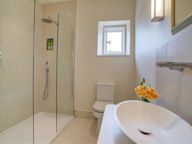 A bathroom with a walk in shower a toilet a sink and flowers on the counter at The Old Dairy in Shilton