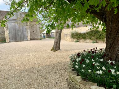 An outdoor courtyard with a large tree, flower bed, gravel ground, and stone buildings at The Old Dairy in Shilton