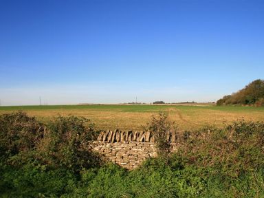 A grassy field with a stone wall and shrubs under a blue sky at Calcot Peak Barn Bibury near Northleach