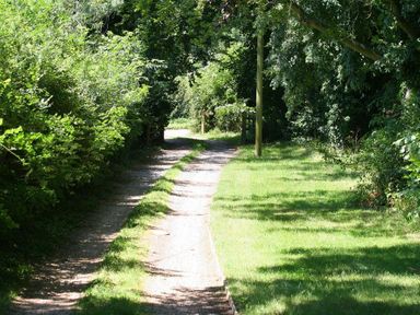 A dirt path bordered by grass and trees on both sides at The Linhay in Little Coxwell near Faringdon