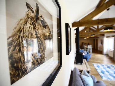 A framed picture of a sheep on a wall in a living space with wooden beams and furniture at Court Hayes Farm Barns Bourton-On-The-Water