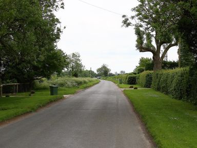 A rural road lined with grass trees and hedges at Park Bothy in Wyck Rissington
