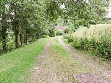 A gravel driveway bordered by grass trees and flowers at Hadcroft Cottage in Aston Magna