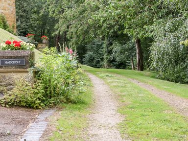 A gravel driveway with grass tracks next to a garden with flowers and trees at Hadcroft Cottage in Aston Magna