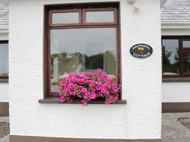 A window with pink flowers on the sill and a sign saying Daffodil Cottage on a white wall at Daffodil Cottage in Grange County Sligo