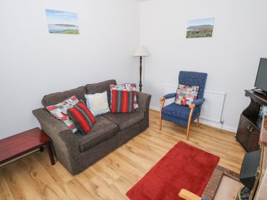 A sitting room with a brown sofa and blue upholstered chair with cushions a red rug and wooden floor at Daffodil Cottage in Grange County Sligo