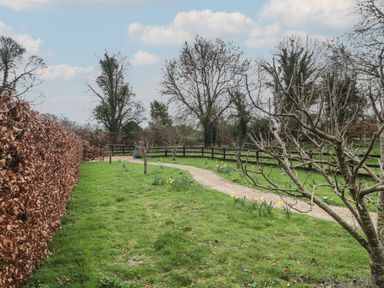 A garden path with small trees and daffodils along the sides surrounded by a wooden fence and a hedge at Russet in Martin