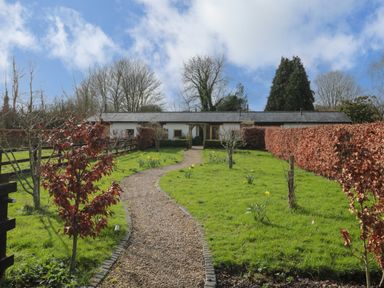 A gravel path through a garden with trees and daffodils leading to a single story house at Pippin in Martin