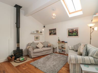 A living room with two sofas a rug a wood burning stove and skylight at Pippin in Martin