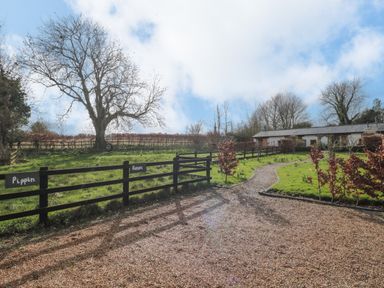 A gravel driveway leading to a single-story building with a black wooden fence and grassy area at Pippin in Martin