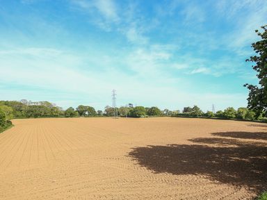 A plowed field with small plants and trees in the background under a partly cloudy sky at The Coach House in Lympstone