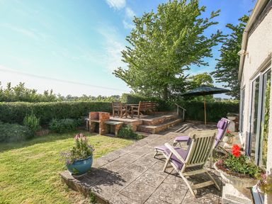 A patio with wooden chairs and a table under a tree and purple cushioned lounge chairs at The Coach House in Lympstone