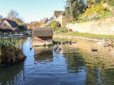 A pond with ducks and swans near stone buildings and a small wooden structure in a village setting at Spring Cottage in Wroxton