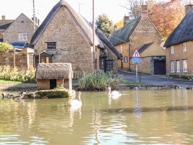 A village pond with swans and ducks in front of stone cottages with thatched roofs at Spring Cottage in Wroxton