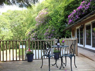 A balcony with a small metal table and two chairs surrounded by plants and flowers at Treetops in Woody Bay