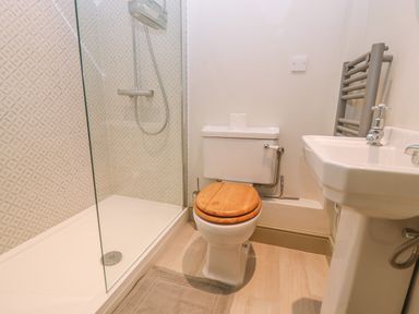 A bathroom with a shower enclosure toilet with wooden seat and a sink at Bridge Studio in Broad Chalke