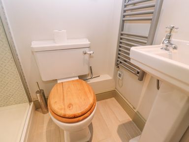A bathroom with a toilet with wooden seat a sink and a towel radiator at Bridge Studio in Broad Chalke