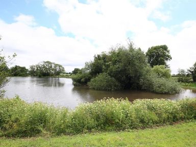 A pond surrounded by grass and trees under a partly cloudy sky at The Old Mill in Flaxley