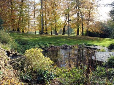 An outdoor garden area with a small pond surrounded by plants and trees with autumn foliage at The Folly at Castlebridge in Mere