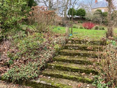 An outdoor stone staircase covered with moss leading up to a lawn with bushes and trees at The Folly at Castlebridge in Mere