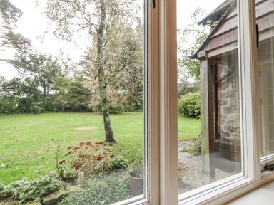 A view of a garden with a tree and grass at Droop Farm Cottage in Droop near Hazelbury Bryan