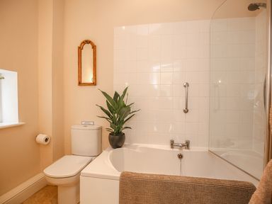 A bathroom with a bathtub shower combination a toilet a small wall-mounted mirror and a potted plant at West Lodge in Rockbourne