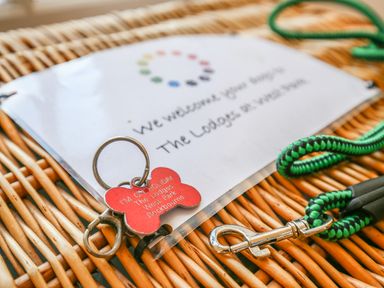 A red keychain with the text I'm on holiday The Lodges West Park Rockbourne on a wicker surface next to a green and black braided leash at West Lodge Rockbourne