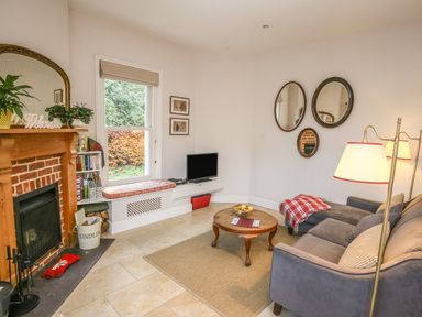 A living room with a fireplace plants and a television by a window at East Lodge in Rockbourne