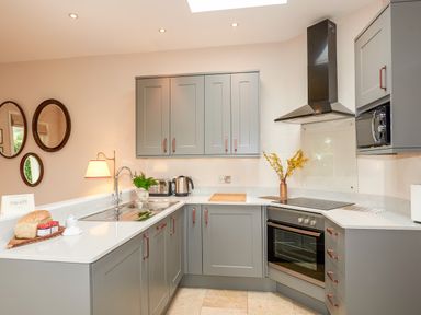 A kitchen with grey cabinets a stovetop oven a sink with a faucet and kitchen appliances at East Lodge in Rockbourne