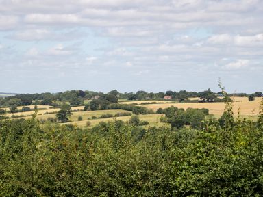 A rural landscape with fields and scattered trees under a partly cloudy sky at Henmarsh Cottage in Moreton-In-Marsh